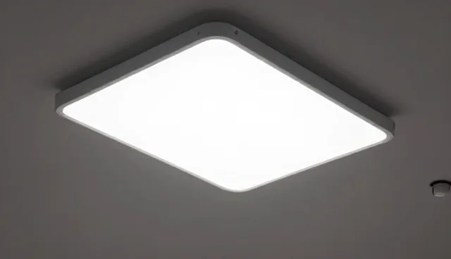 相亲活动组织中隐私保护的适用情况与限制